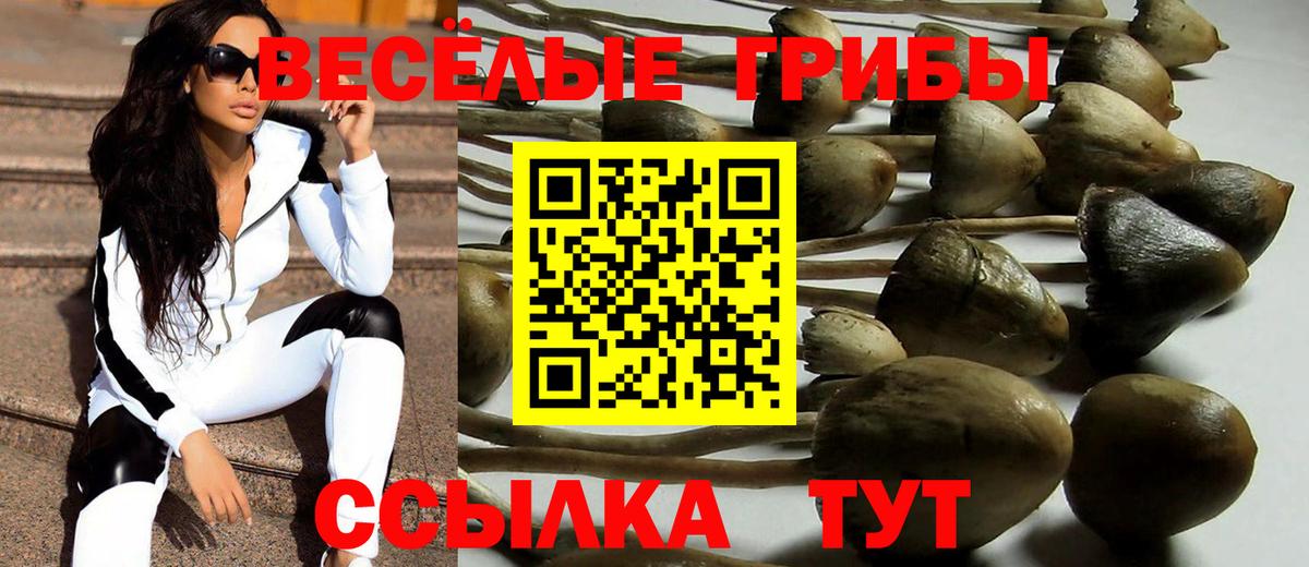 Псилоцибиновые грибы мухоморы Карабулак