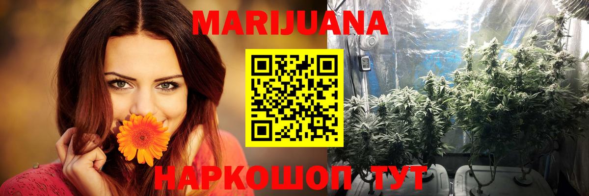 Конопля гибрид Карабулак